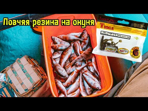 Видео: Рыбалка на спиннинг ультралайт!Осенняя ловля окуня на озере...