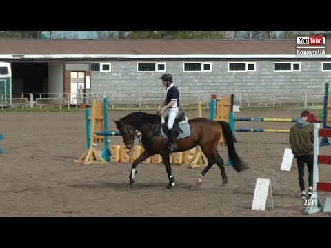 Видео: Открытый Чемпионат г. Днепропетровска по конному спорту среди юниоров, юношей и детей. 12.04.2019 г.