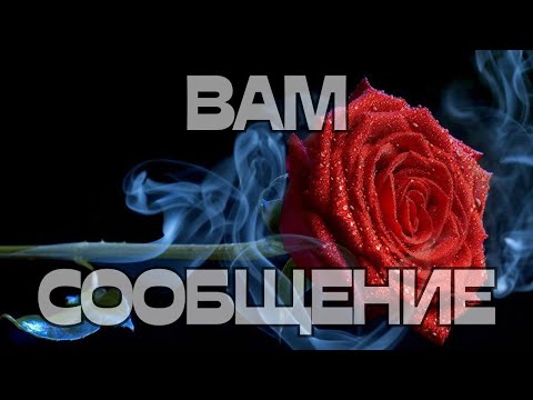 Видео: 🔔ВАМ СООБЩЕНИЕ📩💬