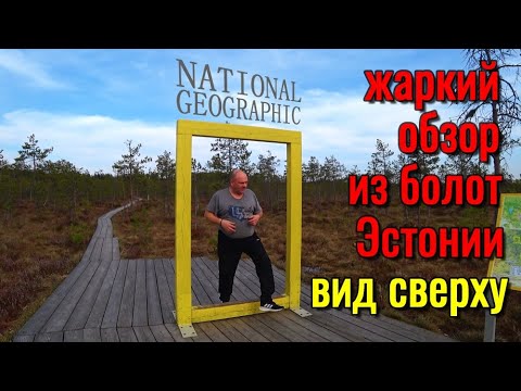 Видео: 192. Прогулка по южной Эстонии, часть 6. Вид сверху на всю Эстонию и на болото. 4К.