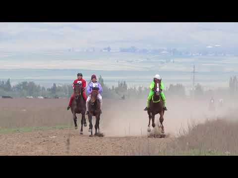 Видео: Аламан байге Ивановка 20.04.2019