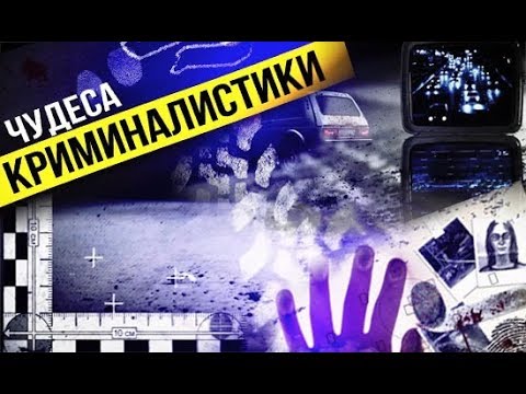 Видео: "Чудеса криминалистики" - ДНК