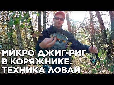 Видео: Микро джиг-риг в коряжнике. Техника ловли окуня