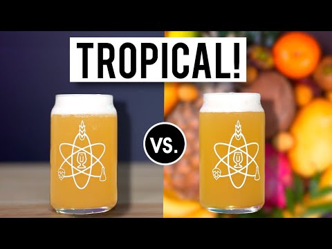 Видео: Влияние тропического грома на мутный IPA | exBEERiment