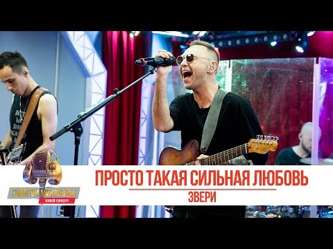 Видео: Звери - Просто такая сильная любовь. «Золотой Микрофон 2019»