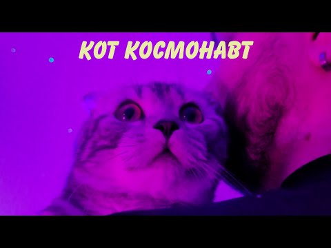 Видео: Кот космонавт