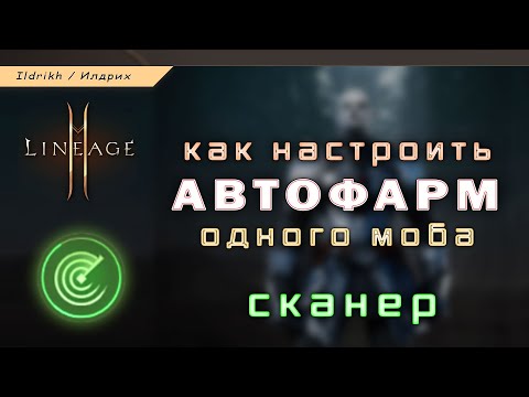 Видео: Lineage 2M - как настроить автофарм одного моба | сканирование | гайд [L2M]