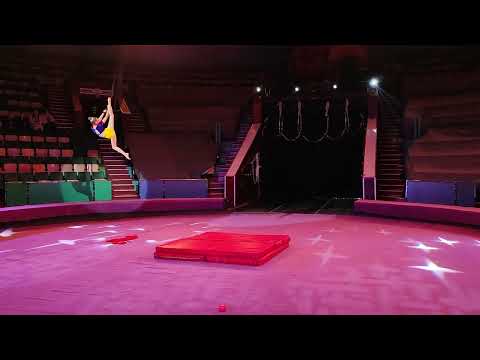 Видео: 1 ноября 2025 г.