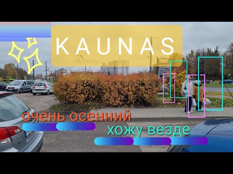 Видео: каунас#oceнь#литва#kaunas, хожу везде