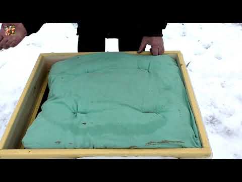 Видео: 👌В гнезде всегда будет сухо❗