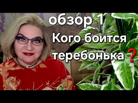 Видео: Кого боится тер@бонька❓️
