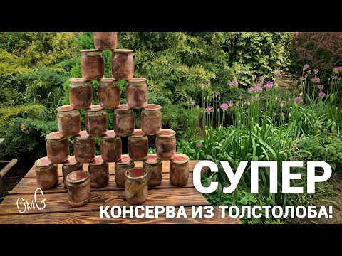 Видео: Супер консерва из толстолоба! #рыбалка #рыба #консервы #оченьвкусно #дома