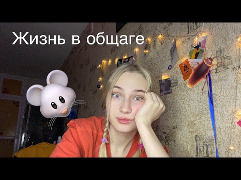 Видео: Жизнь в общаге, что это?
