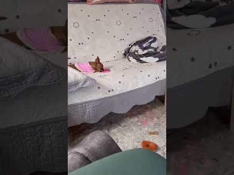 Видео: ЗВЕЗДА В ШОКЕ)