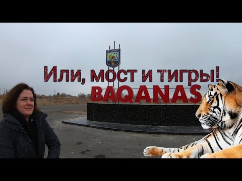 Видео: Баканас 2021. Кунаевский мост. Река Или. Путешествие по Казахстану.