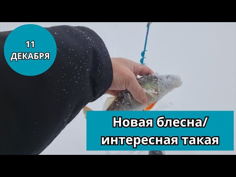 Видео: #55 Зимняя рыбалка в Санкт-Петербурге. Новая блесна показывает себя достойно