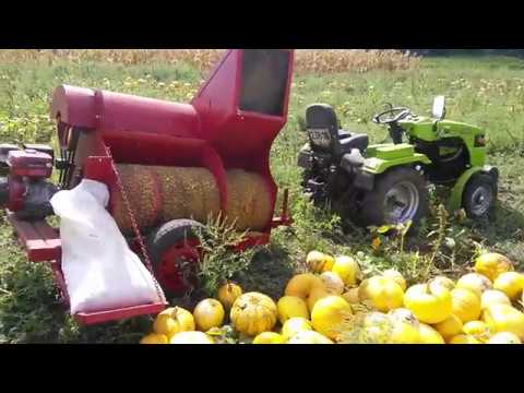 Видео: Уборка тыквы. Тыквоуборочный комбайн MOROZ 1300 мм с бензиновым двигателем 16 л.с.
