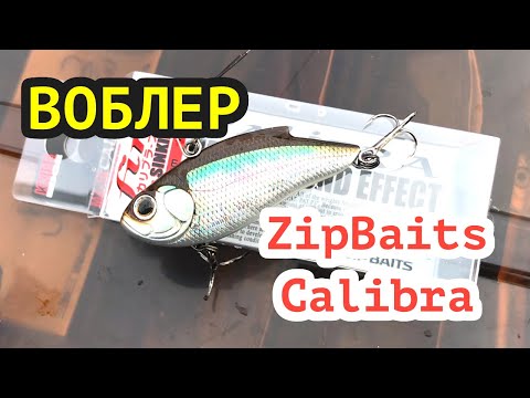 Видео: Обзор воблера ZipBaits Calibra, хитрости применения