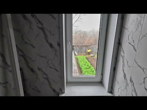 Видео: Оторву им всё что можно... Даже в мыслях не было..