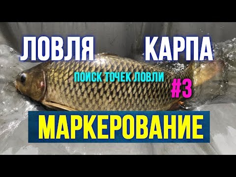 Видео: Как найти точки ловли карпа Маркерование Третья часть