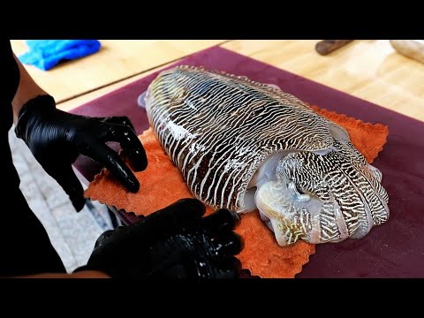 Видео: ГИГАНТСКАЯ КАРАКАТИЦА Вьетнамская уличная еда