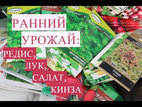 Видео: Ранний Урожай! Секреты Посадки Редиса, Салата, Лука, Кинзы в Теплице.