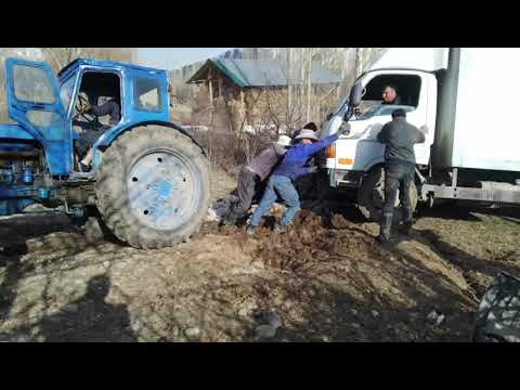 Видео: т чил мошини калонро бо панҷ тон картошка гирифта бурд
