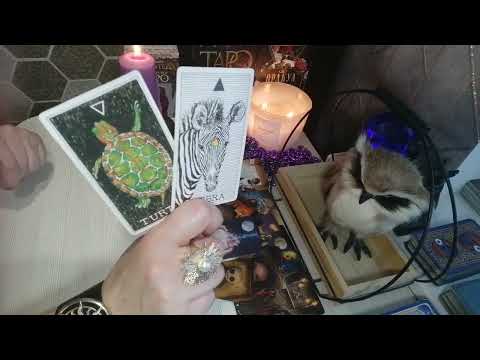 Видео: 💯🤷‍♀️Ничего себе🔥. Он тут такое рассказал о Вас и Ваших отношениях💯🤷‍♀️