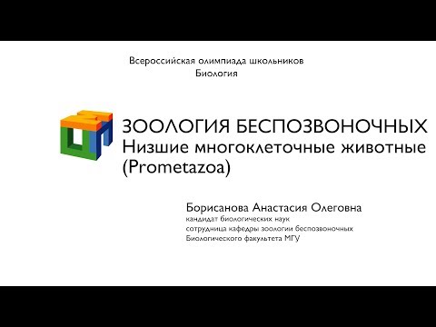 Видео: Биология.  Борисанова А. О.  Зоология беcпозвоночных.  Низшие многоклеточные животные