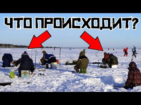 Видео: ТОЛПА ПРИШЛА ПОРТИТЬ РЫБАЛКУ?! Ловил ВТИХАРЯ и НАЧАЛОСЬ!  Удачная рыбалка 2024