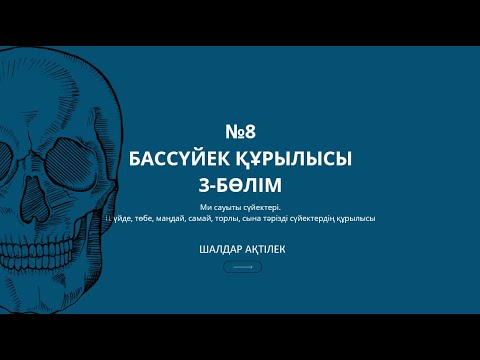 Видео: ОСТЕОЛОГИЯ | №8(3) САБАҚ | БАССҮЙЕК ҚҰРЫЛЫСЫ: МИ САУЫТЫНЫҢ СҮЙЕКТЕРІ