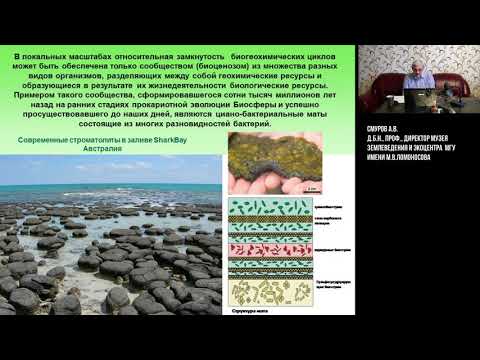 Видео: Биосфера - глобальная экосистема Земли.