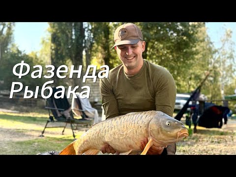 Видео: Мини-турнир на Фазенде рыбака ПОЙМАЛИ КРОКОДИЛА😱🐊🔥