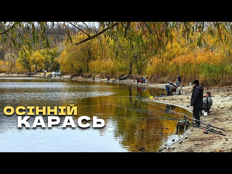 Видео: Ловля КАРАСЯ осінню! ФІДЕР чи ВБИВЦЯ карася?! Кормити чи ні?