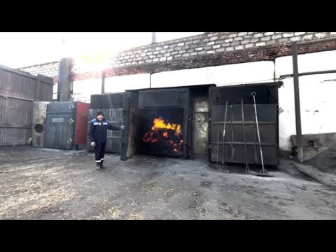 Видео: Как развивается село Целинное в СКО