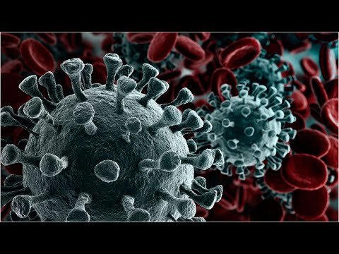 Видео: Вирусы - электрическая суть вихревых объектов (26.07.2024)