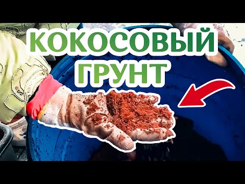 Видео: Как Сделать Идеальный Грунт Для Адениумов!