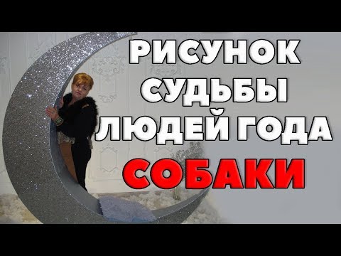 Видео: БОРЦЫ ЗА СПРАВЕДЛИВОСТЬ ИЛИ РИСУНОК СУДЬБЫ ЛЮДЕЙ ГОДА СОБАКИ
