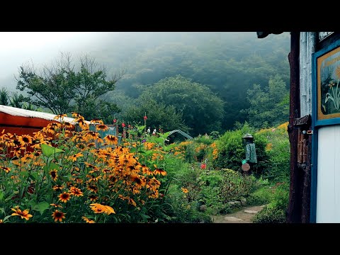 Видео: Это сельская жизнь, живущая в ритме природы,,,