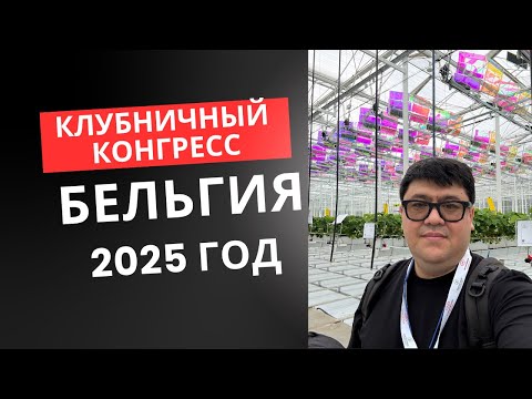Видео: Итого визита на клубничный конгресс в Бельгии. 2025 год.