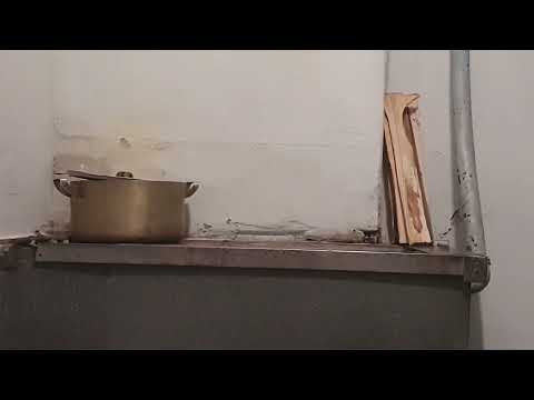 Видео: разговор на кухне
