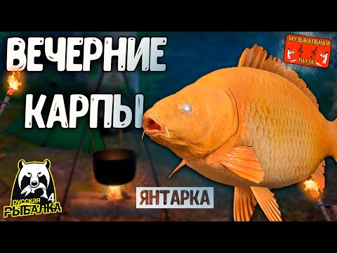 Видео: 🔴Янтарное озеро, ловля трофеев для души. РУССКАЯ РЫБАЛКА 4