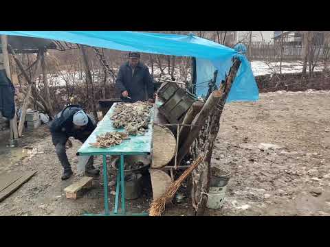 Видео: Базар Коргондо тойдо устукан тартуу