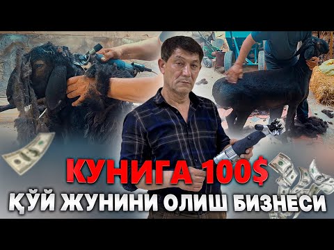 Видео: ҚЎЙ ЖУНИНИ ОЛАДИГАН МАШИНКАЛАР МСУ-200 НИ Янги Модели Ўзбекистонда