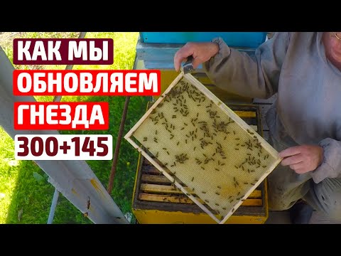 Видео: Обновление пчелиного гнезда в Дадане 300+145.  Работы на пасеке весной.