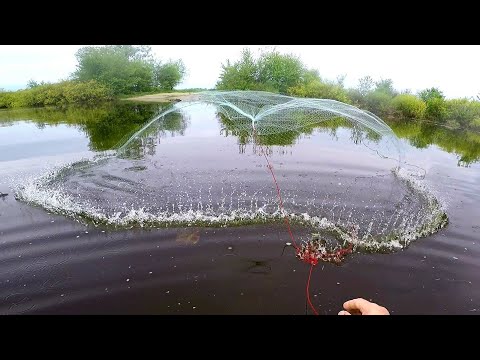 Видео: Таких КАБАНОВ я еще НЕ ЛОВИЛ. Рыбалка на КАСТИНГОВУЮ СЕТЬ. Кастинговая сеть испанка, испанского типа