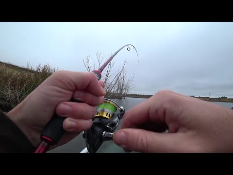 Видео: Рыбалка на Кружки Осенью. Ловля щуки на живца и джиг