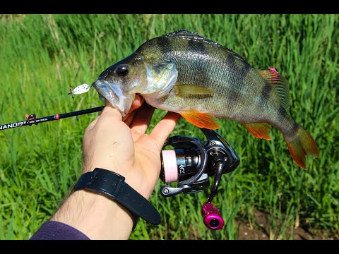 Видео: Мегаокунь на наноджиг и наноколебло