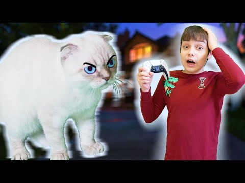 Видео: КОТ МСТИТ ИЗ-ЗА ПЕРЕЕЗДА!!! ЭДИКУ НИКТО НЕ ВЕРИТ!