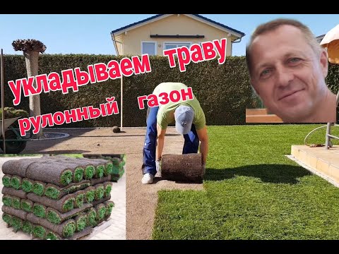Видео: УКЛАДЫВАЕМ РУЛОННЫЙ ГАЗОН. РАБОТА КИПИТ.ГЛАЗ РАДУЕТСЯ. ПОЛУЧИЛОСЬ КРАСИВО.